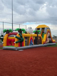 1000028482 (2) (1) (1)