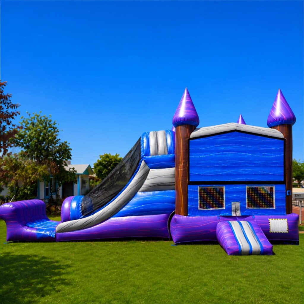 purple Crush 3 in 1 Bouncer